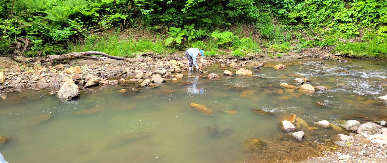 R7.5.26　ふるさとの川愛護活動（河川清掃ボランティア)