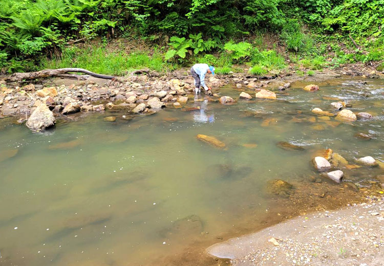 R7.5.26　ふるさとの川愛護活動（河川清掃ボランティア)